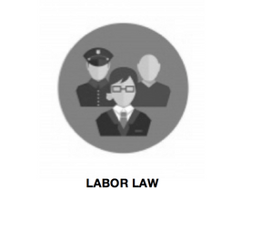 Consequent to the group’s Corporate Services, comes legal services on Labor and Employment. This comprises counseling employers on providing employees of the required minimum benefits, Human Resource Management and Labor Organization’s acknowledgement.